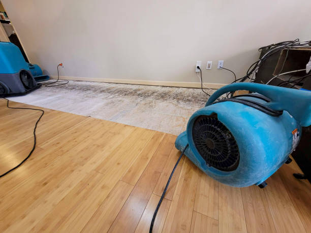 Reliable Basement Flood Cleanup contractor in Groveton, VA by Hirex Water Damage