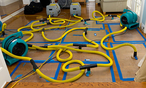 Professional Basement Flood Cleanup technician working in Groveton, VA